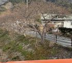 豊泉橋付近