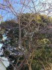 旅館今井荘周辺