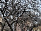 旅館今井荘周辺