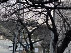 旅館今井荘の周辺