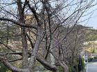旅館今井荘の周辺