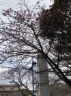 旅館今井荘の周辺