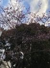 旅館今井荘付近
