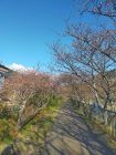 町営踊り子温泉会館