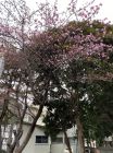 旅館今井荘周辺