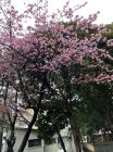 旅館今井荘周辺