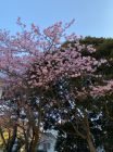 旅館今井荘周辺