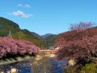 豊泉橋周辺