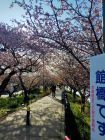 館橋付近