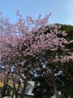 旅館今井荘周辺