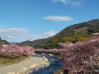 豊泉橋付近