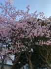 旅館今井荘付近