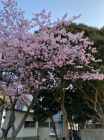 旅館今井荘周辺