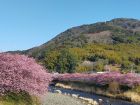 豊泉橋