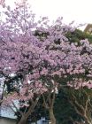 今井浜周辺
