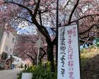 河津駅
