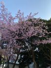 今井浜周辺